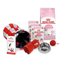 Carica l'immagine nel visualizzatore di Gallery, Starter Pack Royal Canin Kitten - Cibo secco e umido con ciotola, coperta,...