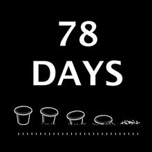Carica l'immagine nel visualizzatore di Gallery, EATALIAN 100 capsule Tisana allo Zenzero compatibili con