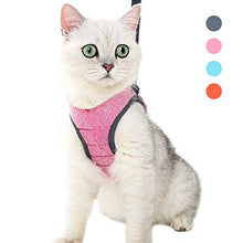 Carica l'immagine nel visualizzatore di Gallery, Dotoner Set di Pettorina e guinzaglio per Gatti, Imbracatura M, pink2