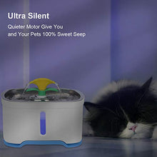 Carica l'immagine nel visualizzatore di Gallery, RIOGOO Fontana per Animali Domestici, Pompa di spegnimento Automatico 84oz /... - Ilgrandebazar