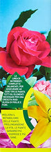 Carica l'immagine nel visualizzatore di Gallery, 3