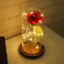 Carica l'immagine nel visualizzatore di Gallery, LEDMOMO Rosa di seta con luce a LED in cupola vetro su base legno la... - Ilgrandebazar