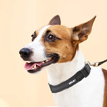 Carica l'immagine nel visualizzatore di Gallery, Zellar Collare per Cani, Animale da Compagnia Domestico...