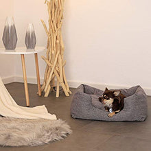 Carica l'immagine nel visualizzatore di Gallery, Dibea Cuccia letto per cani 60 x 50 cm (L x L, dimensioni esterne), Grigio - Ilgrandebazar