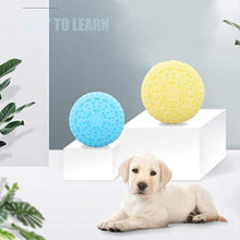 Carica l'immagine nel visualizzatore di Gallery, Frisbee Giocattolo Disco per Cani, Gomma Naturale, 22,8 cm, Due Pezzi in...