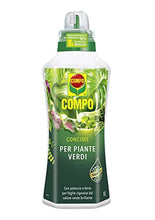 Carica l'immagine nel visualizzatore di Gallery, 4