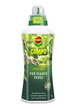 Carica l'immagine nel visualizzatore di Gallery, Compo Concime Liquido Per Piante Verdi, Per Piante D'Appartamento E Da Balcone, 1 L, 9 X 7.9 X 28 Cm