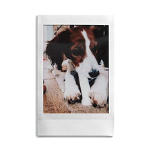 Carica l'immagine nel visualizzatore di Gallery, Fujifilm Instax Mini Film, Pellicola istantanea per Confezione da 20, Bianco - Ilgrandebazar