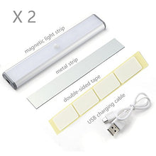 Carica l'immagine nel visualizzatore di Gallery, MOSTON Luce a LED Magnetica Ricaricabile con USB|10 Argento-base-2 Pacchi