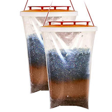 Carica l'immagine nel visualizzatore di Gallery, NOVA LAUS Fly Trap Red Top, Trappola per Mosche, Confezione da 2,...