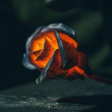 Carica l'immagine nel visualizzatore di Gallery, Fatto a Mano Rosa Eterna Ferro Battuto - Dono Speciale Che Non Appassirà Mai - Ilgrandebazar