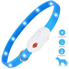 Carica l'immagine nel visualizzatore di Gallery, kolpop Collare Luminoso per Cani, LED Cani blu - Ilgrandebazar