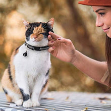 Carica l'immagine nel visualizzatore di Gallery, Annhao Collare per Gatti, Collari Gattini con Sonaglio, Regolabile e...