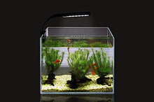 Carica l'immagine nel visualizzatore di Gallery, NICREW Luce Acquario Ultrasottile, Mini Lampada con 24 LEDs Nero