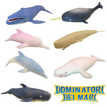 Carica l'immagine nel visualizzatore di Gallery, Sbabam Dominatori dei Mari Confezione 3 Bustine Animal Discovery