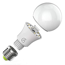 Carica l'immagine nel visualizzatore di Gallery, Lampadina AG Wifi Alexa, e27, Google...