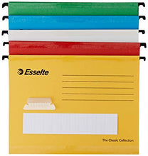Carica l'immagine nel visualizzatore di Gallery, ESSELTE The Classic Collection - GRUPPO cartelle sospese per cassetti 330-V... - Ilgrandebazar