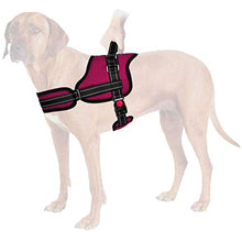 Carica l'immagine nel visualizzatore di Gallery, SlowTon Pettorina per Cani No Pull, Collo e Torace Regolabili M2, Borgogna2