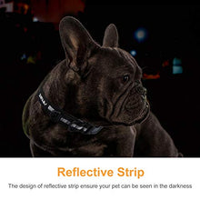 Carica l'immagine nel visualizzatore di Gallery, Zellar Collare per Cani, Animale da Compagnia Domestico...