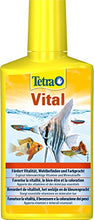 Carica l'immagine nel visualizzatore di Gallery, Tetra Vital Vitamine e Minerali, 250 ml 250 - Ilgrandebazar
