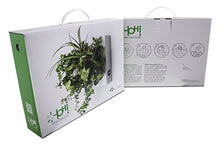 Carica l'immagine nel visualizzatore di Gallery, HOH! by Ortisgreen, Quadro Vegetale di Colore Bianco in Plastica ABS, - Ilgrandebazar