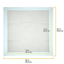 Carica l'immagine nel visualizzatore di Gallery, AmazonBasics - Tappetini igienici assorbenti per animali Pacco da 100 - Ilgrandebazar