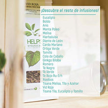 Carica l'immagine nel visualizzatore di Gallery, HELPS INFUSI - Boldo Infusion con proprietà digestive e protettive del...