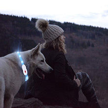 Carica l'immagine nel visualizzatore di Gallery, kolpop Collare Luminoso per Cani, LED Cani blu - Ilgrandebazar