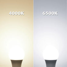 Carica l'immagine nel visualizzatore di Gallery, LVWIT Lampadina LED E27 8.5W, Equivalenti a 60W, A60 8.5W 6500K-6 Pezzi - Ilgrandebazar