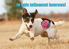 Carica l'immagine nel visualizzatore di Gallery, FONPOO Giochi Cane,Corda Cane Resistenti per Cani Grandi Cane...