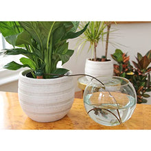 Carica l'immagine nel visualizzatore di Gallery, Blumat, Set per irrigazione, 3 pz.