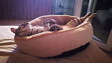 Carica l'immagine nel visualizzatore di Gallery, Pecute Cuccia per Gatti e Cani, Realizzato in Fondo Antiscivolo di pet bed M - Ilgrandebazar