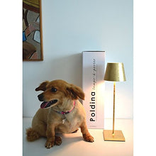 Carica l'immagine nel visualizzatore di Gallery, Ai Lati POLDINA Lampada da Tavolo LED 2W 3000K Ricaricabile IP54 Esterno... - Ilgrandebazar
