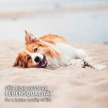 Carica l'immagine nel visualizzatore di Gallery, AniForte Stomaco Delicatamente per Cani 500g - Supporta la digestione, Lega...
