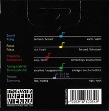 Carica l'immagine nel visualizzatore di Gallery, Thomastik Corde per Violino Dominant nucleo di nylon, set 4/4 medium, Mi in... - Ilgrandebazar