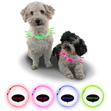 Carica l'immagine nel visualizzatore di Gallery, Riijk, collare luminoso a LED per cani e gatti, resistente alla pioggia Verde