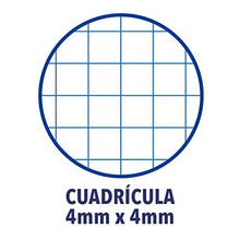 Carica l'immagine nel visualizzatore di Gallery, Enri 100430102 Set di 10 quaderni con rilegatura a spirale semplice,... - Ilgrandebazar