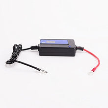 Carica l'immagine nel visualizzatore di Gallery, cleanpower 200AH - Disolfatore per batterie al Piombo 12/24/36/48V con... - Ilgrandebazar