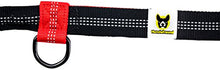 Carica l'immagine nel visualizzatore di Gallery, Guinzaglio mani libere per cani da jogging | Rosso e nero elastico e... - Ilgrandebazar