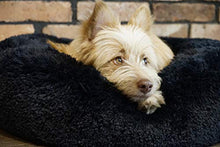 Carica l'immagine nel visualizzatore di Gallery, Cuccia per cani e gatti, esclusiva e morbida cuccia Diametro 70 cm, Nero