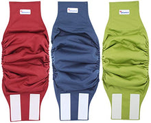 Carica l'immagine nel visualizzatore di Gallery, Petsweare - Pannolini per XX - Large, blu navy, marrone castano, verde oliva
