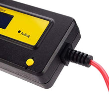 Carica l'immagine nel visualizzatore di Gallery, cleanpower Auto Pulsing 400Ah LED Display Piombo Acido Batteria Desolfatore... - Ilgrandebazar