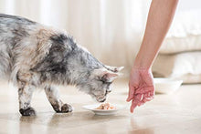 Carica l'immagine nel visualizzatore di Gallery, Schesir, Cibo Secco per Gatti Adulti Sterilizzati Linea Light con...