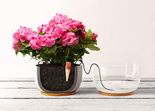 Carica l'immagine nel visualizzatore di Gallery, Blumat, Set per irrigazione, 3 pz.