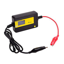 Carica l'immagine nel visualizzatore di Gallery, cleanpower Auto Pulsing 400Ah LED Display Piombo Acido Batteria Desolfatore... - Ilgrandebazar