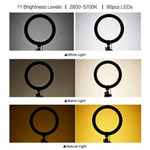 Carica l'immagine nel visualizzatore di Gallery, Andoer Luce ad Anello LED da 10 Pollici con Treppiede Supporto per Telefono...