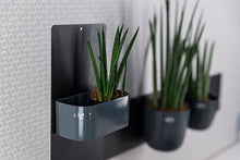 Carica l'immagine nel visualizzatore di Gallery, KalaMitica - vaschetta magnetica 12 cm - Grigio 12 cm, (Piombo) - Ilgrandebazar