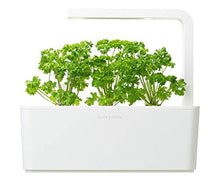Carica l'immagine nel visualizzatore di Gallery, Click &amp; Grow Starter Pack Erbe Aromatiche - Set di 3 confezioni capsule... - Ilgrandebazar