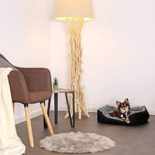 Carica l'immagine nel visualizzatore di Gallery, dibea DB00521, Letto per Cani, Divano 60 x 48 x 18 cm, M, Grigio/Nero - Ilgrandebazar