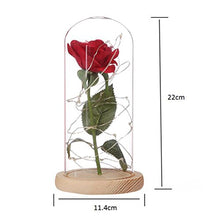 Carica l'immagine nel visualizzatore di Gallery, Ledmomo - Lampada con rosa in seta e luce a LED, cupola di vetro e base... - Ilgrandebazar